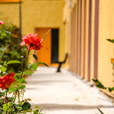 Apartman Luxury In Mangalem21 Complex Wifi,ac *